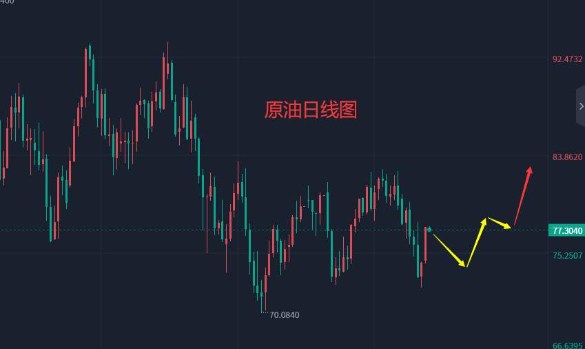 张轩昊：2.8外汇、黄金、原油分析策略
