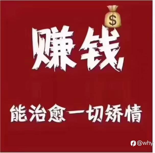 赚钱,能治愈一切矫情!