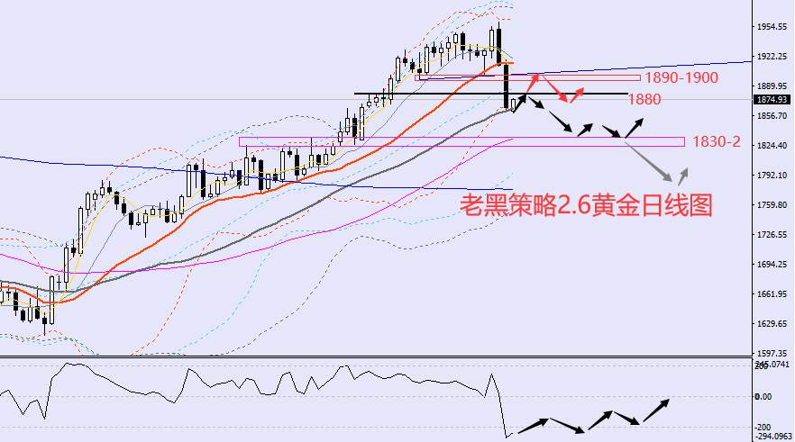 老黑策略：​2.6外汇、黄金、原油分析策略