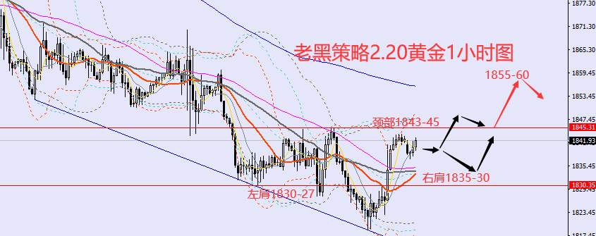 老黑策略：2.20外汇、黄金、原油分析策略
