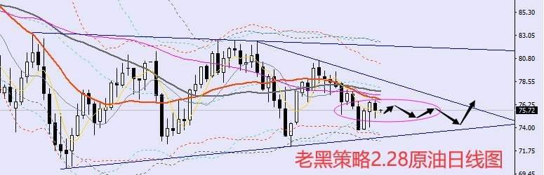 老黑策略：​2.28外汇、黄金、原油分析策略