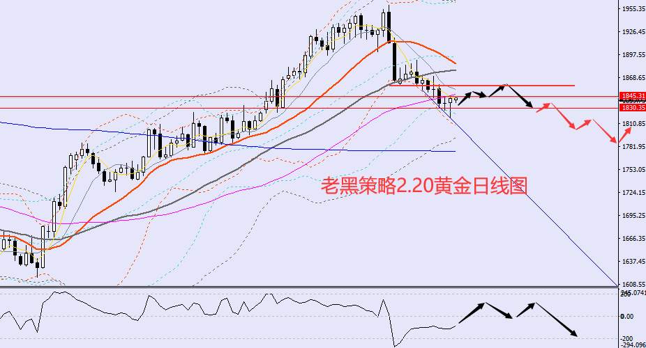 老黑策略：2.20外汇、黄金、原油分析策略
