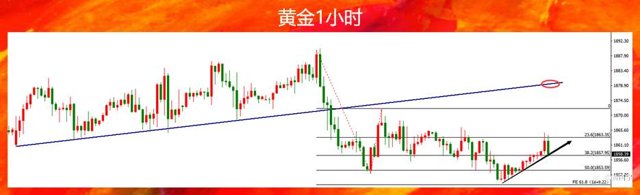 黄国宇：2.14黄金如期反弹，欧盘1856上继续买入