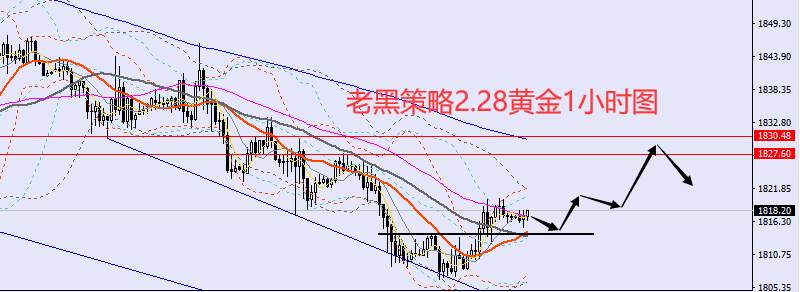老黑策略：​2.28外汇、黄金、原油分析策略