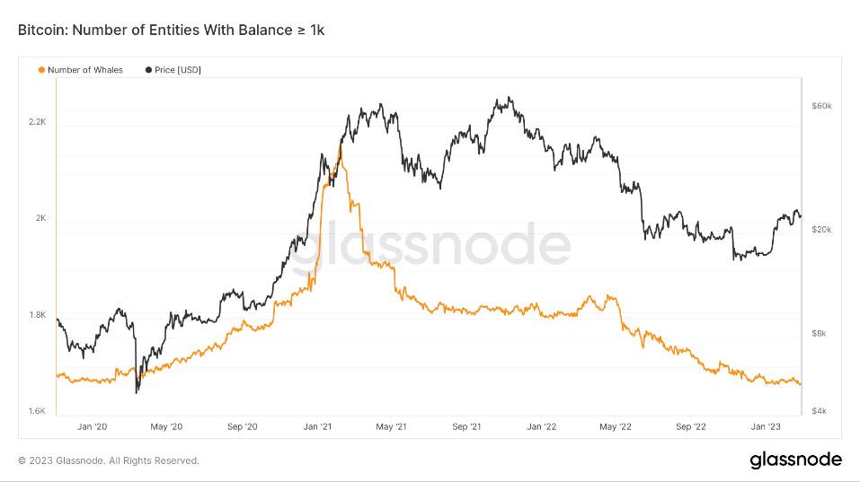 Những Điều Cần Biết Về Bitcoin Tuần Này