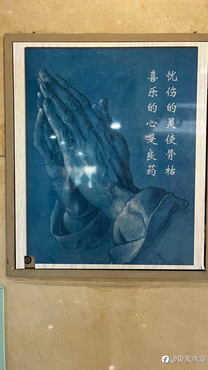 feed image
