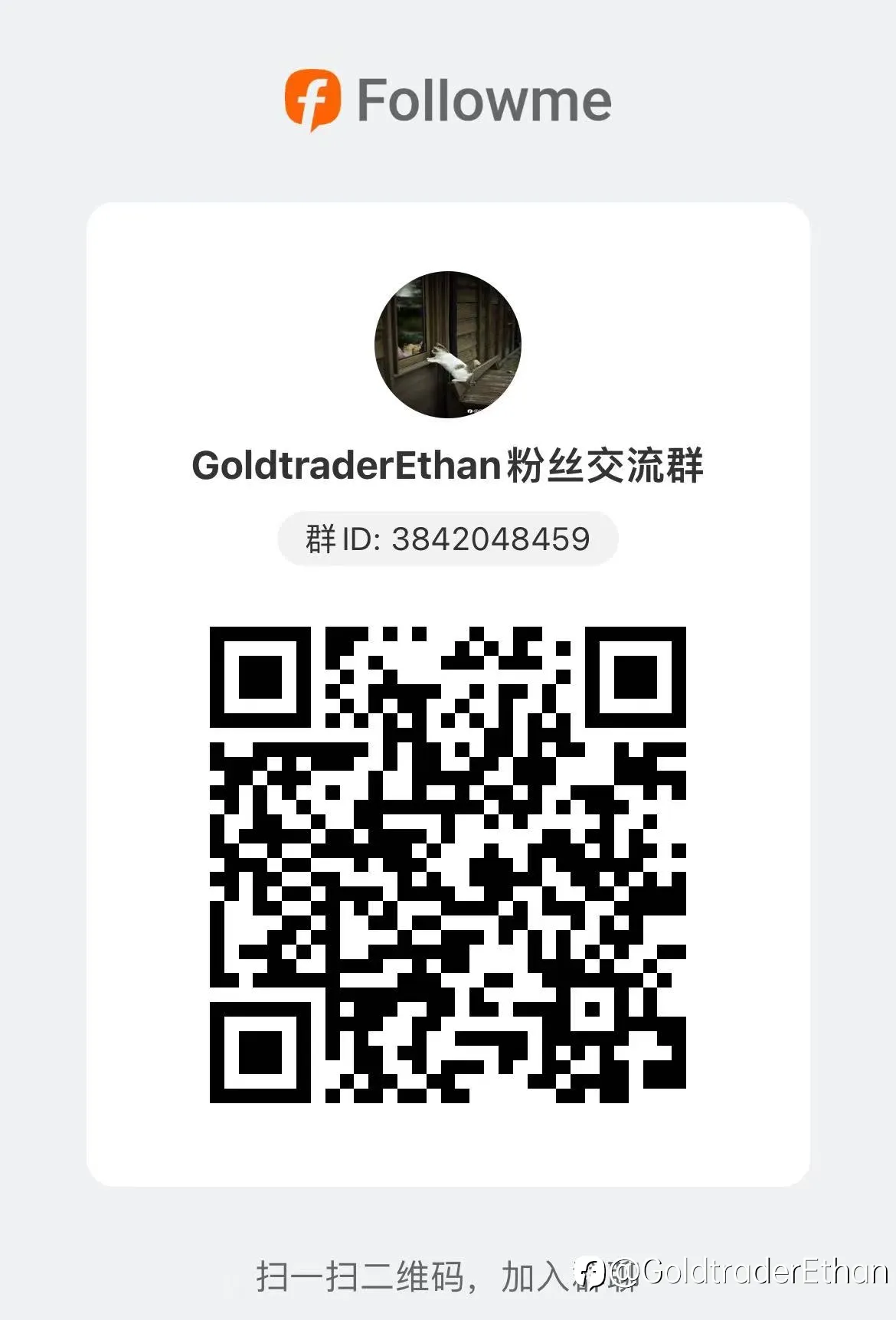 WFF投资组合20230224