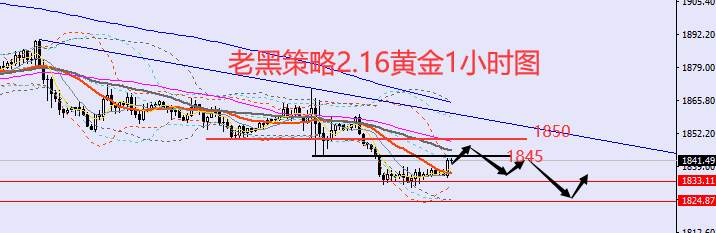 老黑策略：​2.16外汇、黄金、原油分析策略