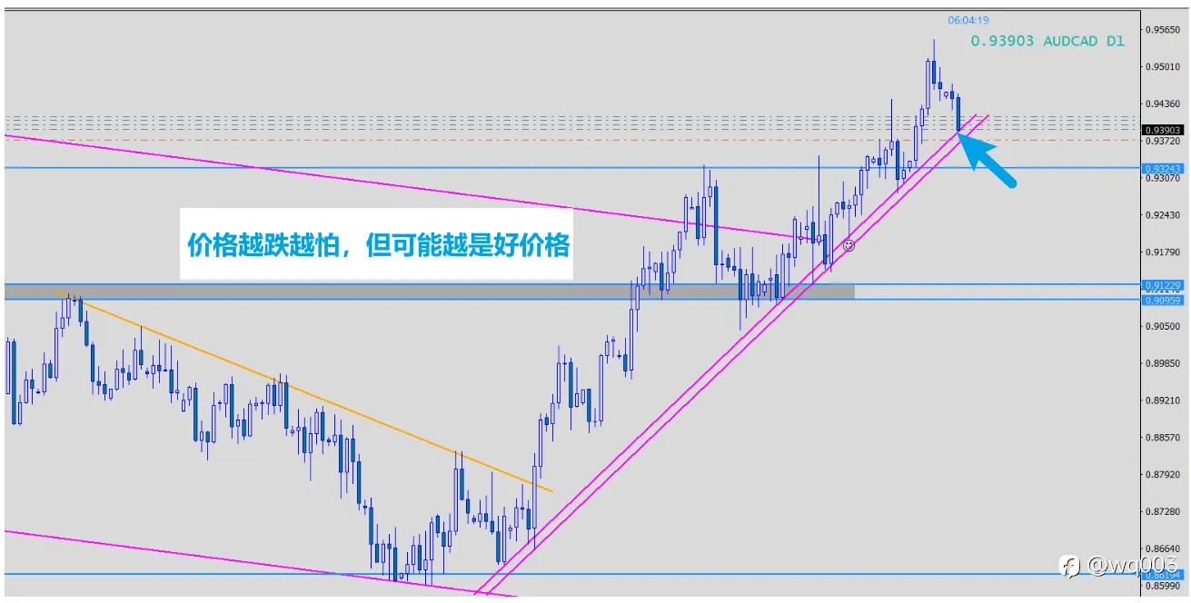 生活依然，交易输赢之外，有生活…