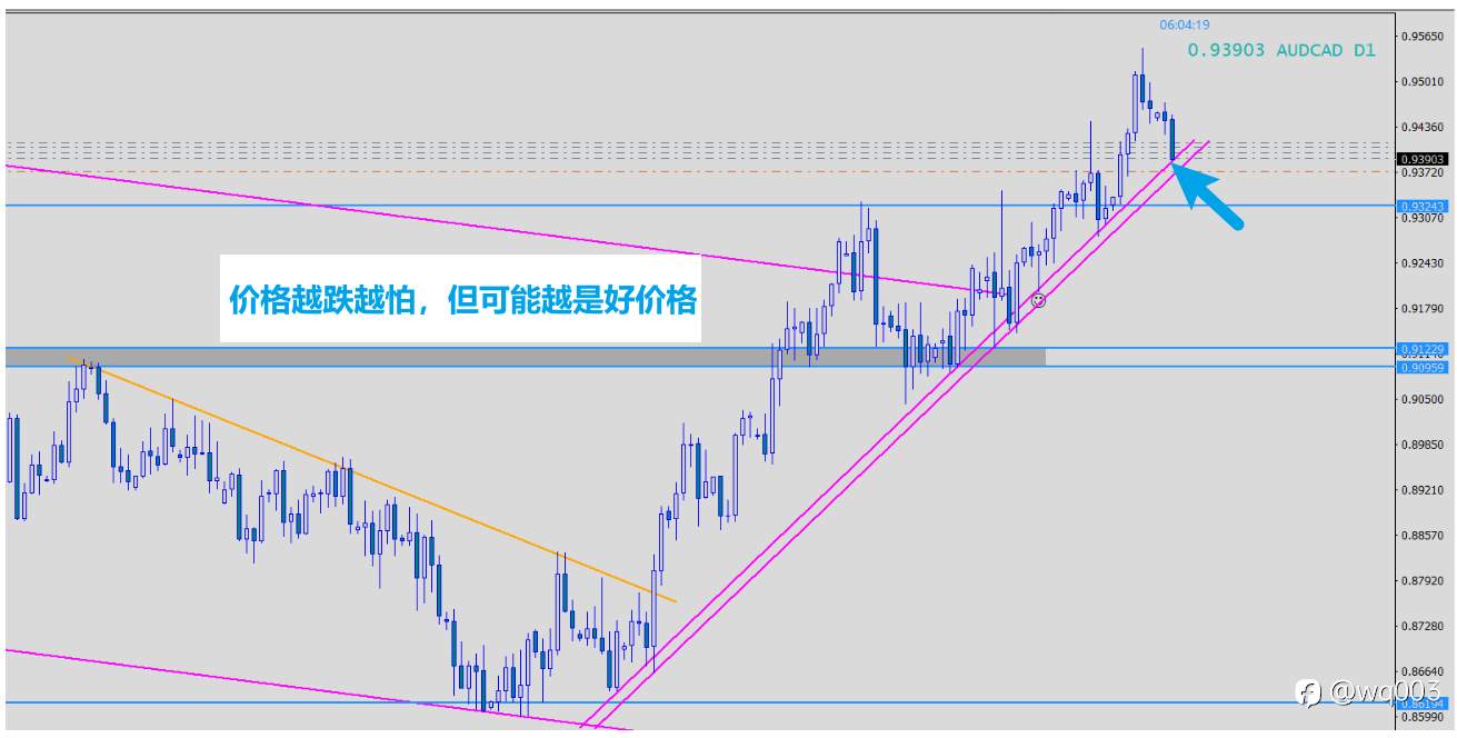 生活依然，交易输赢之外，有生活…