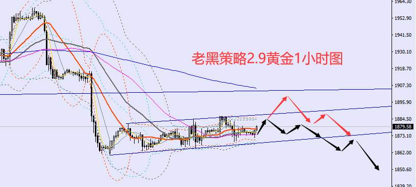 老黑策略：2.9外汇、黄金、原油分析策略