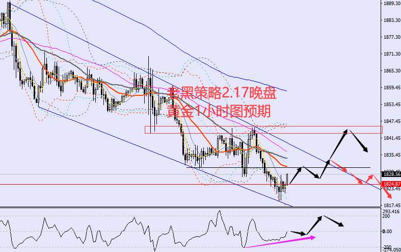 老黑策略：2.17晚盘外汇、黄金、原油分析策略