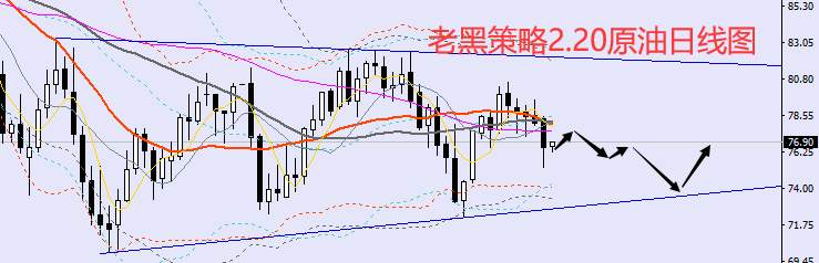 老黑策略：2.20外汇、黄金、原油分析策略