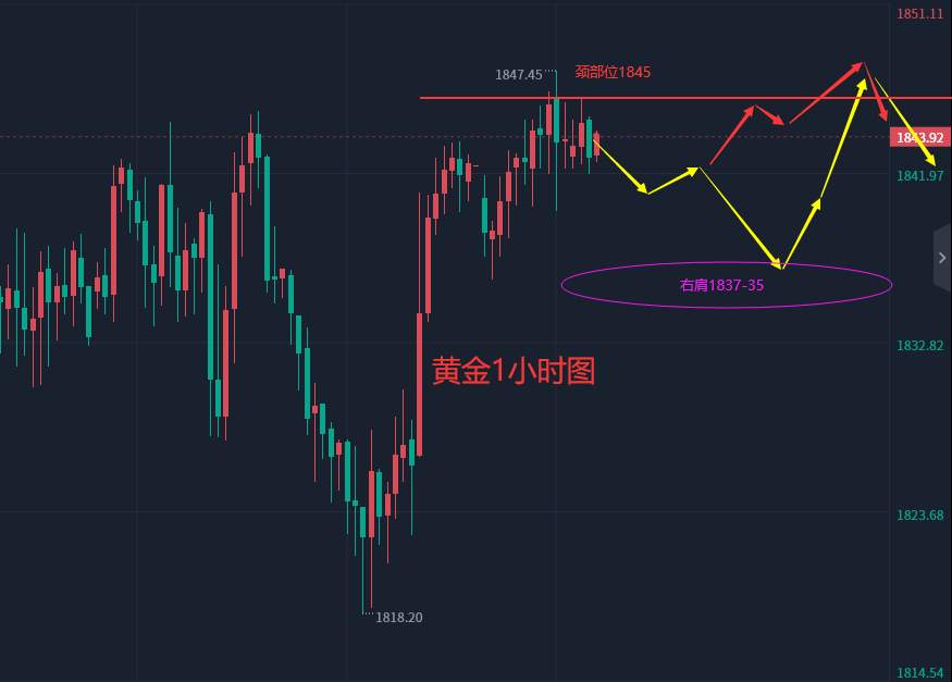 张轩昊：2.20晚盘外汇、黄金、原油分析策略