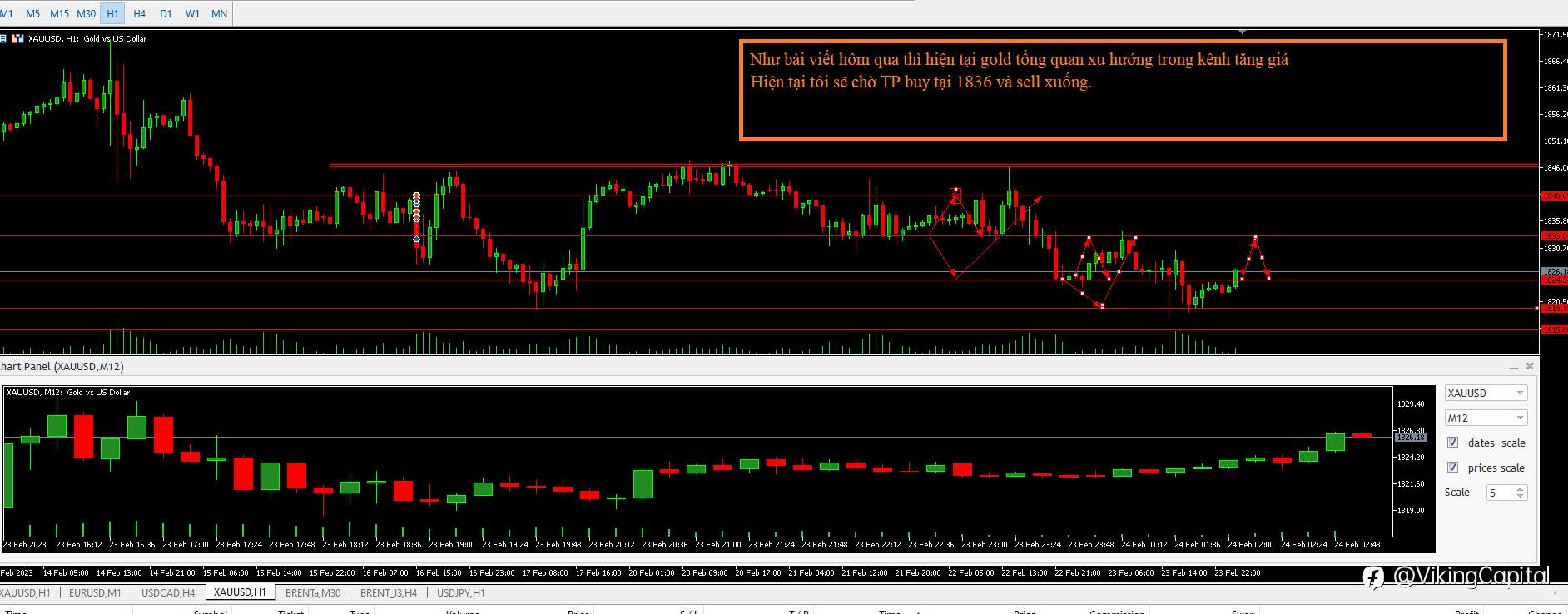 Xauusd Market update ( 24/02/2023)