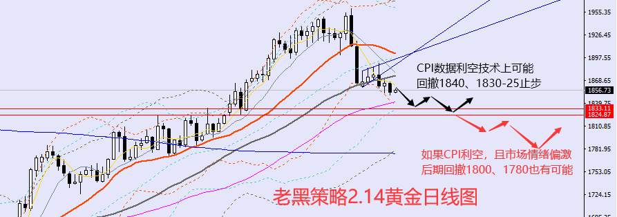 老黑策略：2.14外汇、黄金、原油分析策略
