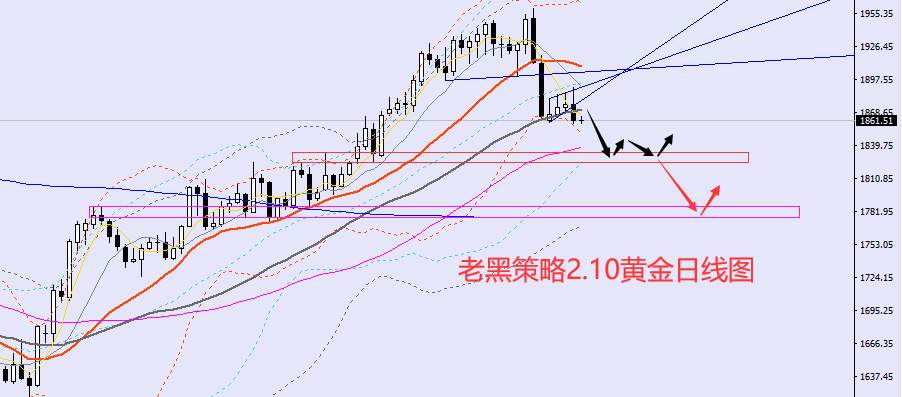 老黑策略：​2.10外汇、黄金、原油分析策略