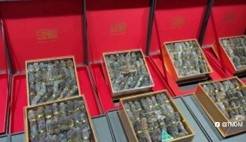 阳春三月，约“惠”新礼！TMGM入金送礼大动作！