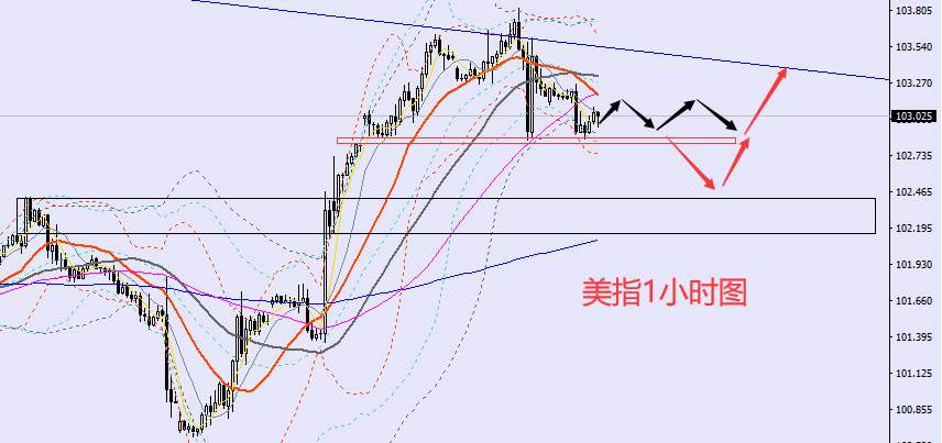 老黑策略：2.8晚盘外汇、黄金、原油分析策略