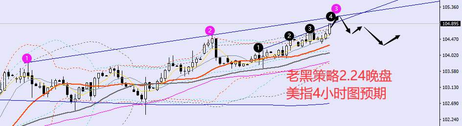 老黑策略：2.24晚盘外汇、黄金、原油分析策略