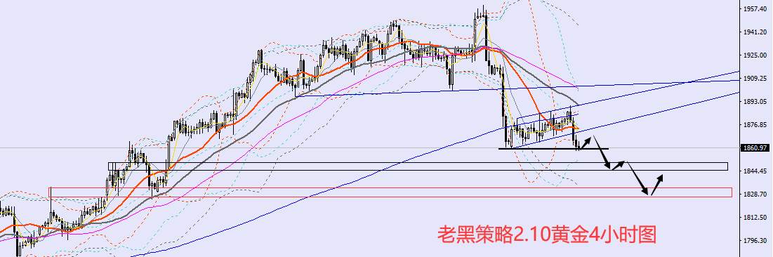 老黑策略：​2.10外汇、黄金、原油分析策略