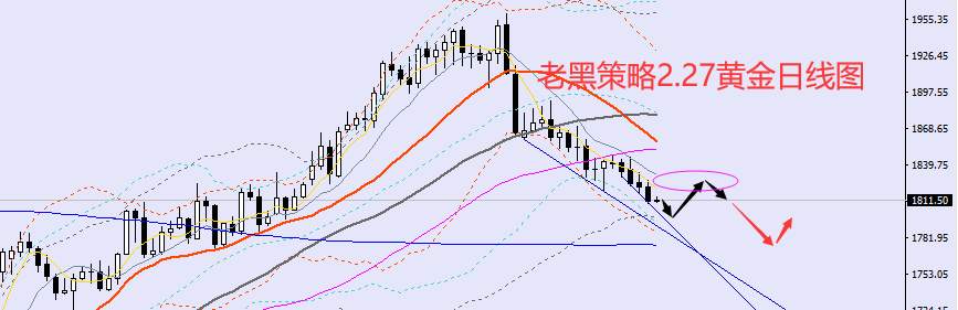 老黑策略：2.27外汇、黄金、原油分析策略