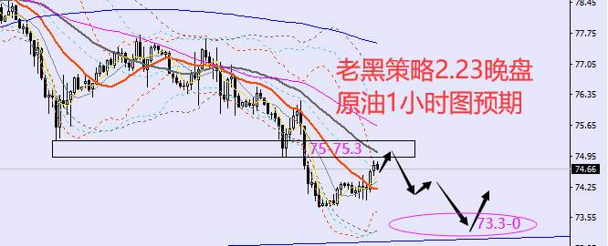 老黑策略：2.23晚盘外汇、黄金、原油分析策略