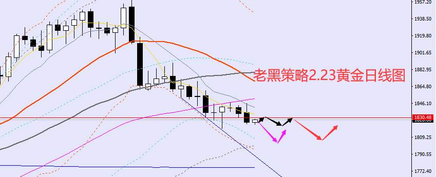 老黑策略：​2.23外汇、黄金、原油分析策略