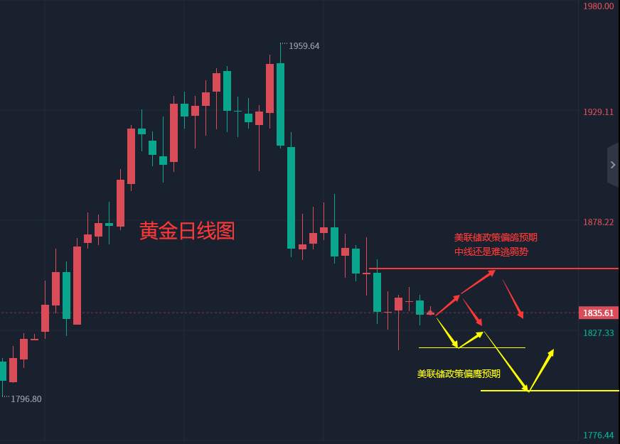 张轩昊：2.22外汇、黄金、原油分析策略