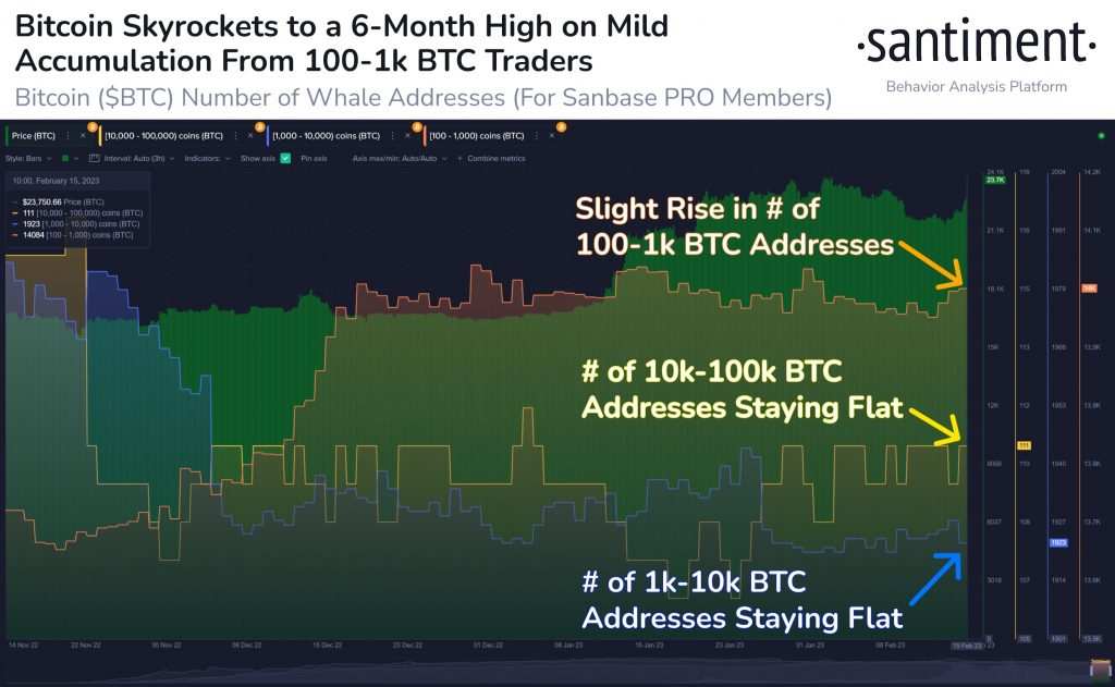 Giá Coin hôm nay 16/02: Bitcoin tiến sát $ 25.000, altcoin và chứng khoán Mỹ ngập sắc xanh bất chấp doanh số bán lẻ tháng 1 tại Mỹ cao hơn dự báo