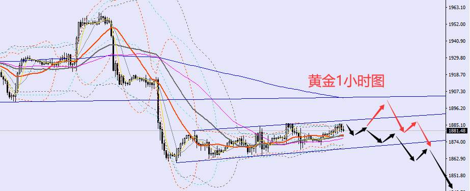 老黑策略：2.9晚盘外汇、黄金、原油分析策略