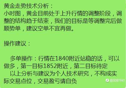 黄金手动与机械策略分享