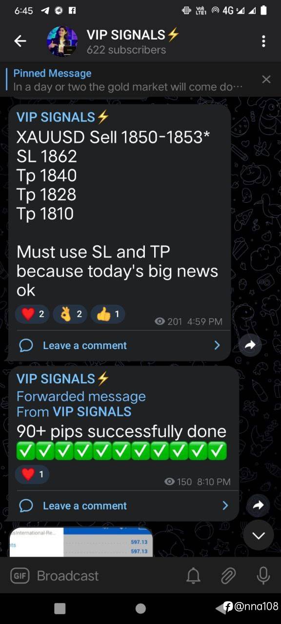 feed-image-1