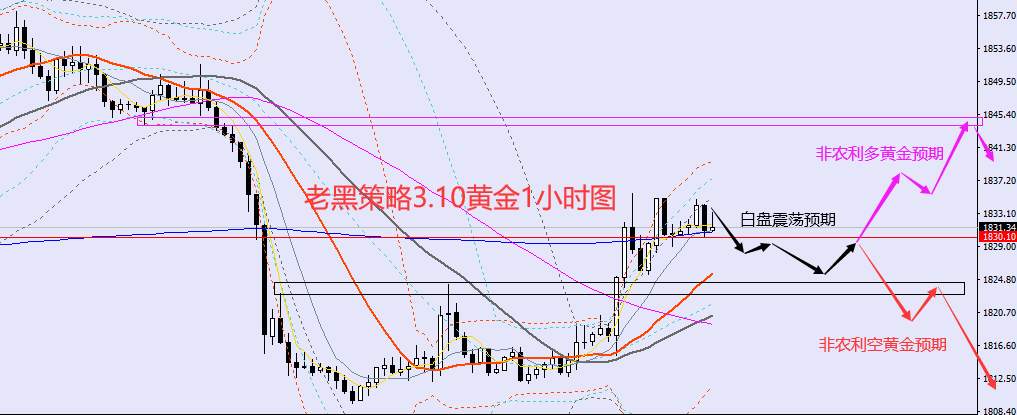 ​老黑策略：​3.10外汇、黄金、原油分析策略