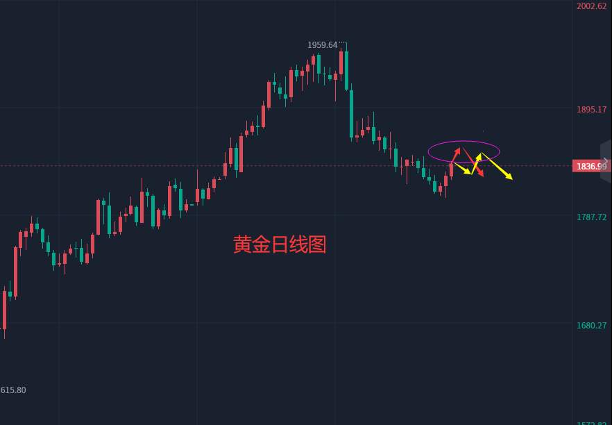 张轩昊：3.1晚盘外汇、黄金、原油分析策略