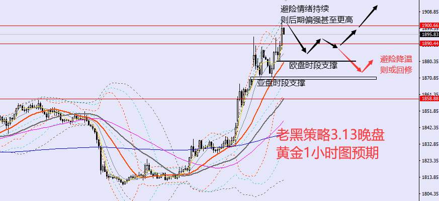 老黑策略：3.13晚盘外汇、黄金、原油分析策略