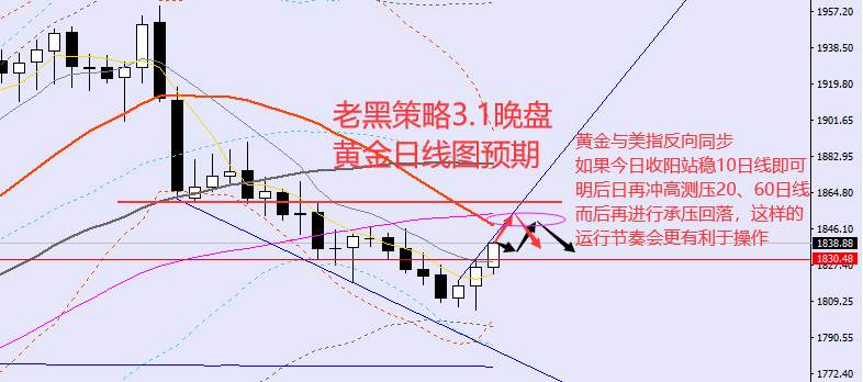 老黑策略：3.1晚盘外汇、黄金、原油分析策略