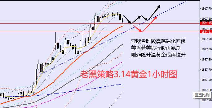 老黑策略：3.14外汇、黄金、原油分析策略