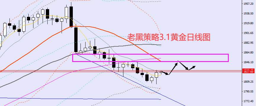 老黑策略：3.1外汇、黄金、原油分析策略