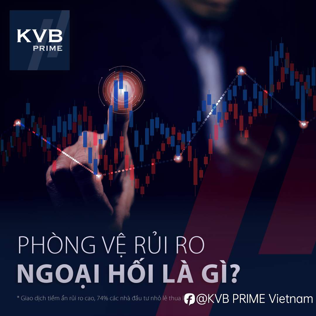PHÒNG VỆ RỦI RO NGOẠI HỐI LÀ GÌ?