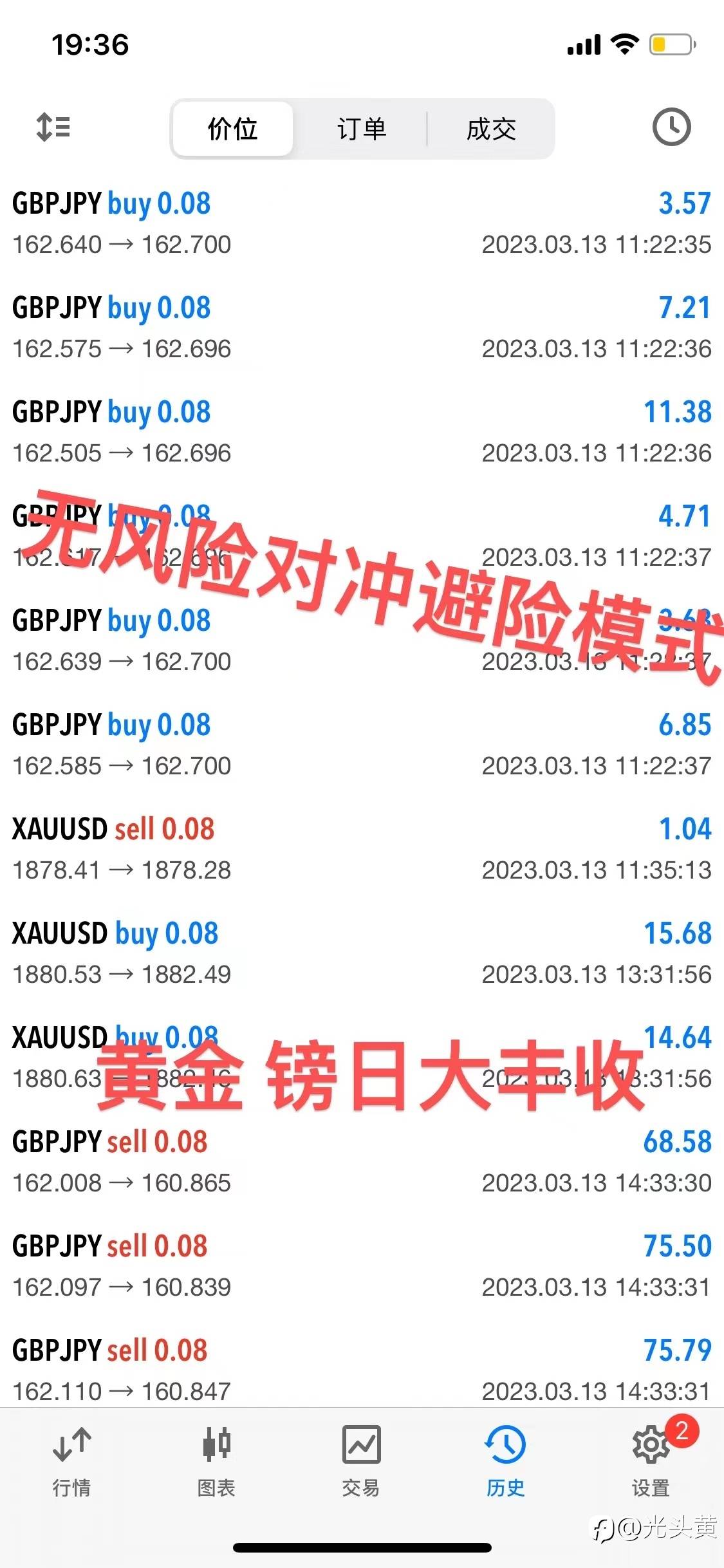 feed-image-1