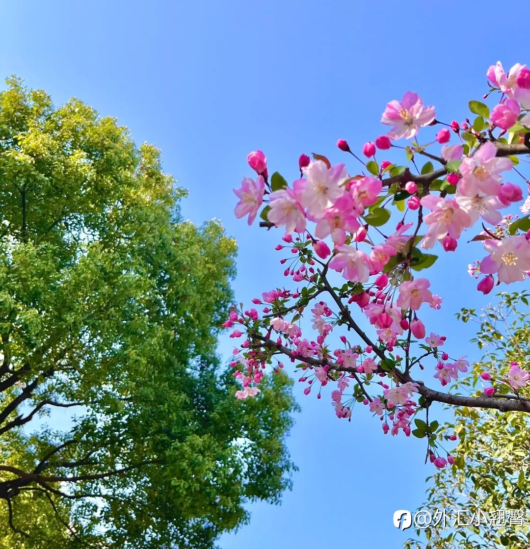 feed image