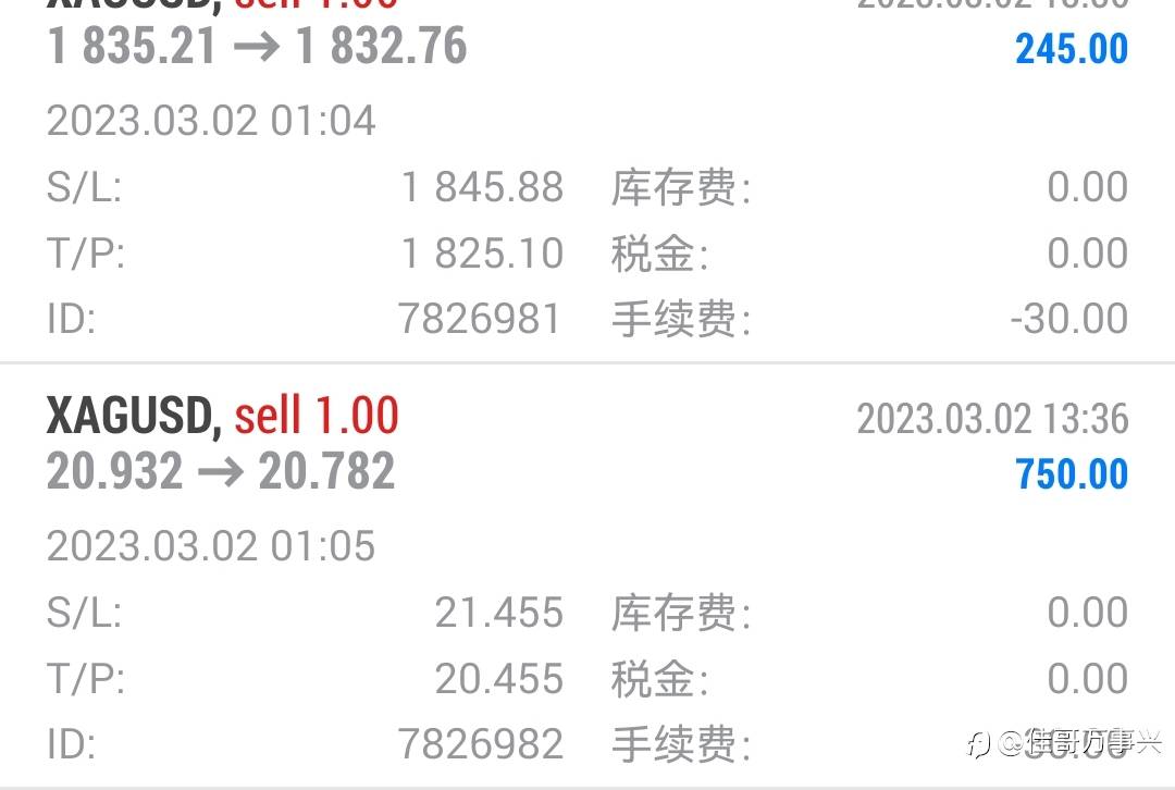 今日总结