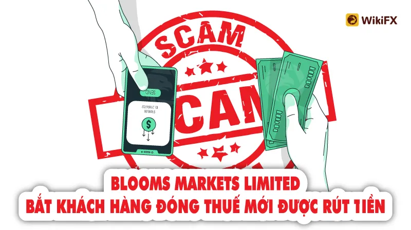 Sàn Blooms Markets Limited bắt khách hàng đóng Thuế mới được rút tiền - WikiFX Cảnh báo