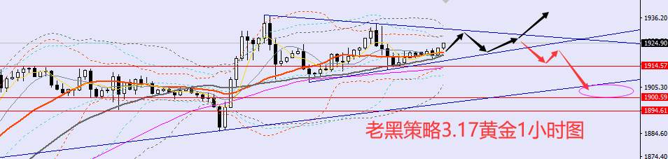 老黑策略：​3.17外汇、黄金、原油分析策略