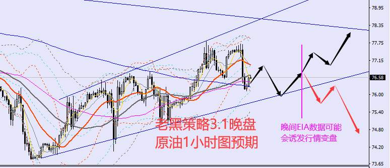 老黑策略：3.1晚盘外汇、黄金、原油分析策略