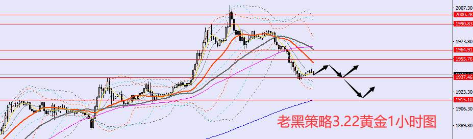 老黑策略：3.22外汇、黄金、原油分析策略