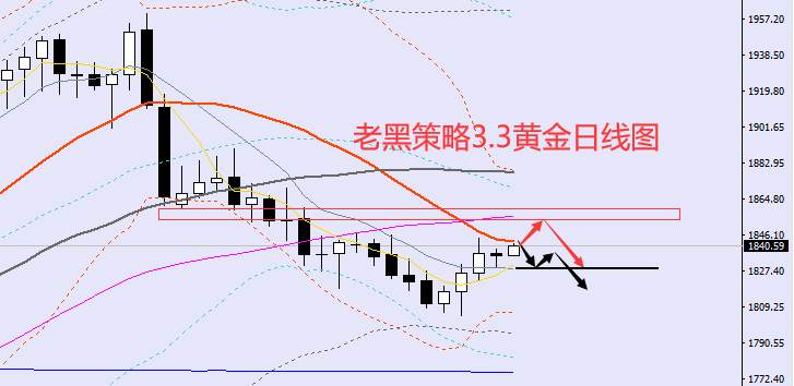 老黑策略：3.3外汇、黄金、原油分析策略