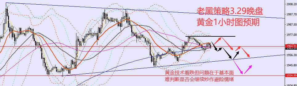 老黑策略：3.29晚盘外汇、黄金、原油分析策略
