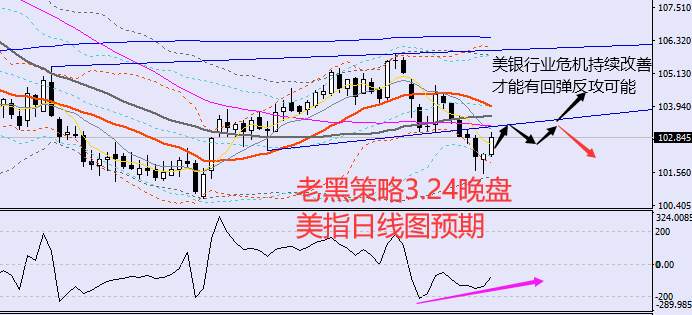 老黑策略：3.24晚盘外汇、黄金、原油分析策略